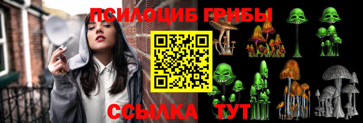 Псилоцибиновые грибы Cubensis  Вход с VPN  Малоярославец 